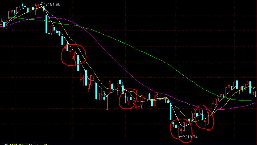 新股前瞻|海西新药如何在现金流与研发之间取得平衡?